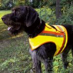 AKAH Reflektorweste für Hunde 