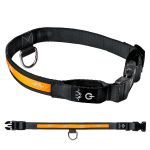 Blaser LED Hundehalsband 