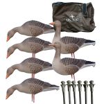 Lockgänse Graugans Vollkörper 6er Set mit Tasche 