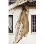 Wild-Fliegenschutznetz 