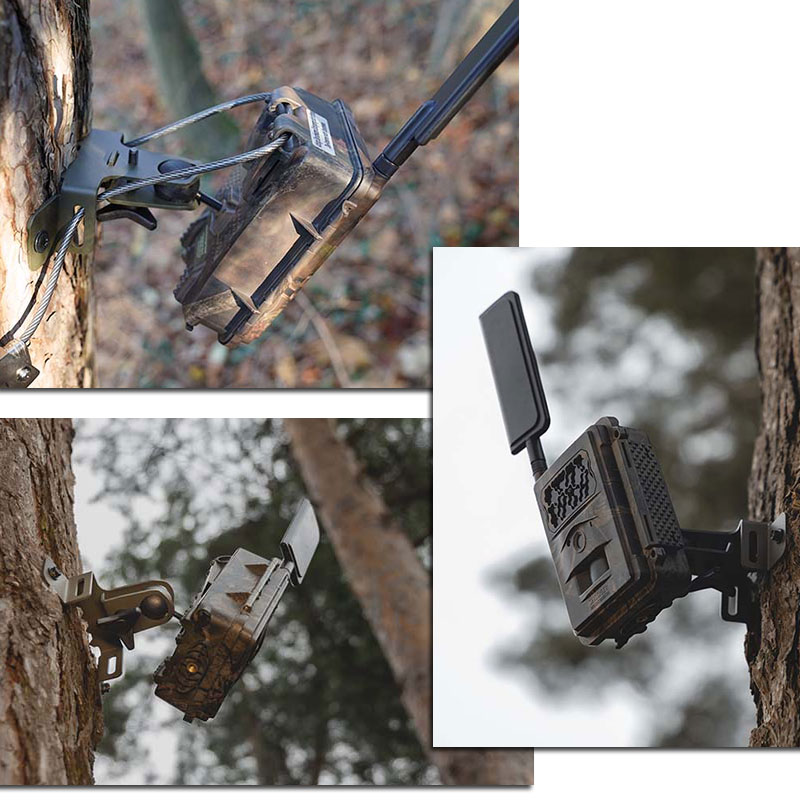 3er Set Baumhalterungen Edelstahl - Ohne Bohren Montage Für Lampen & Deko