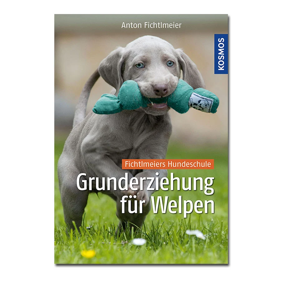 Grunderziehung für Welpen