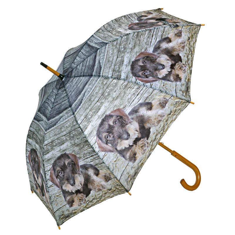 Regenschirm mit Dackel-Motiv