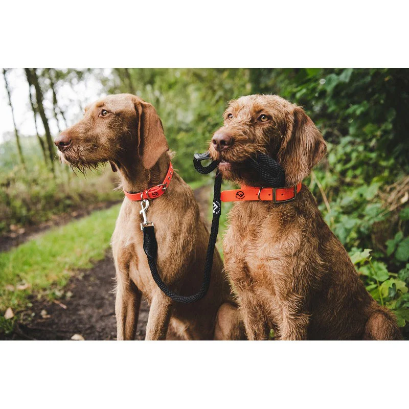 Farm-Land Basic Hundehalsband orange