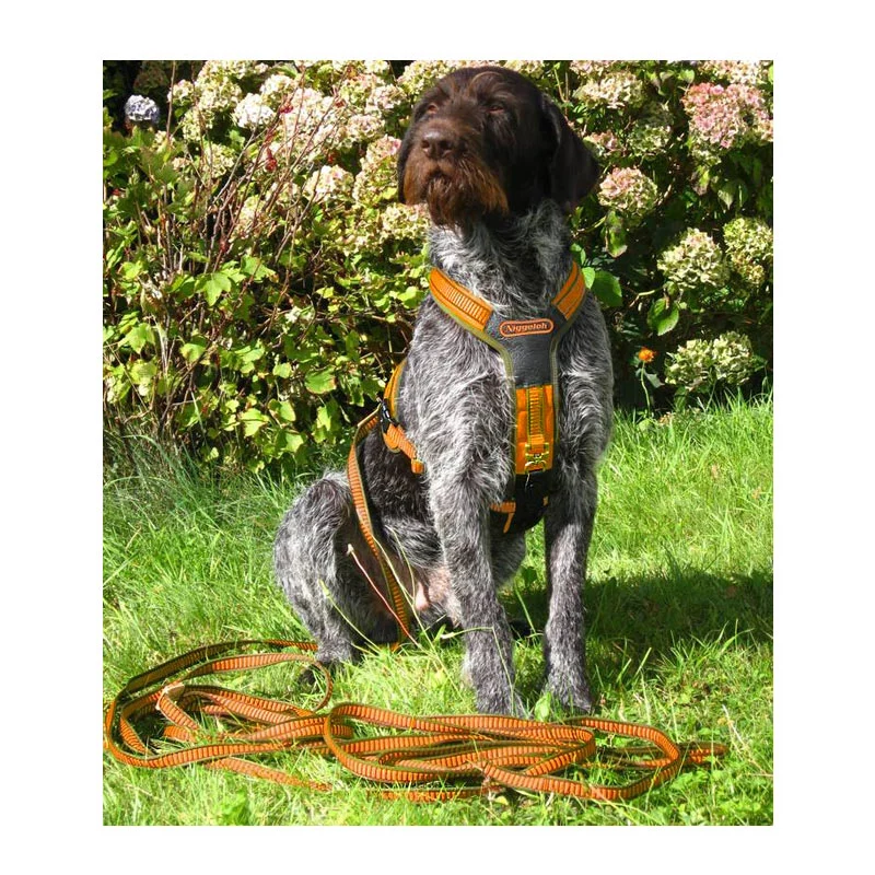 Niggeloh Hundeführgeschirr Follow orange-oliv