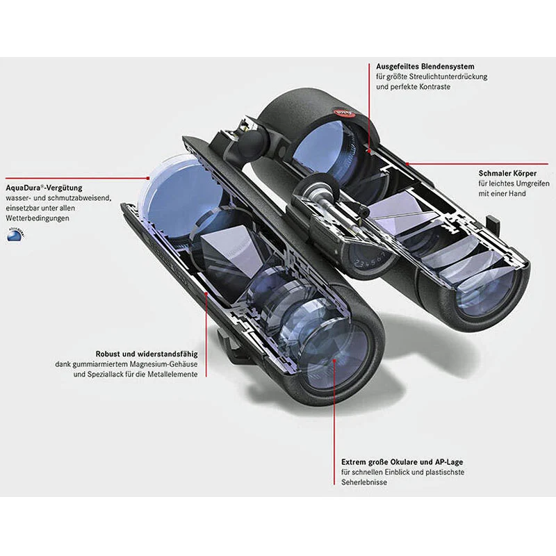 Leica Fernglas Noctivid 8x42 grün