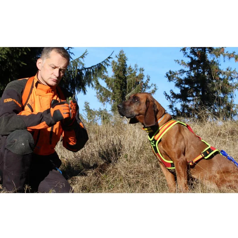 Niggeloh Hundeführgeschirr Follow Trail gelb-rot