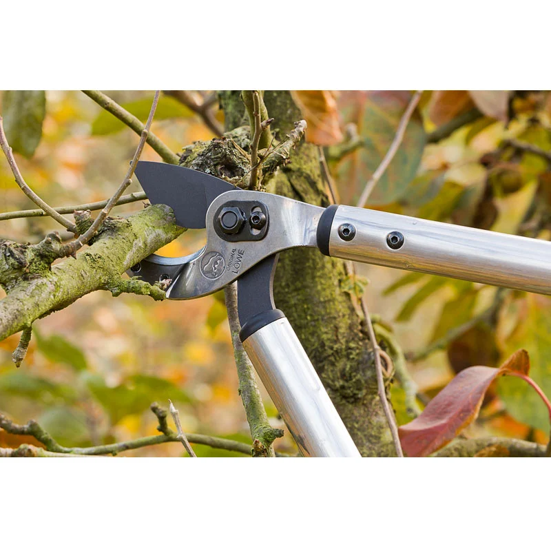 Löwe Amboss-Astschere 50/65 cm